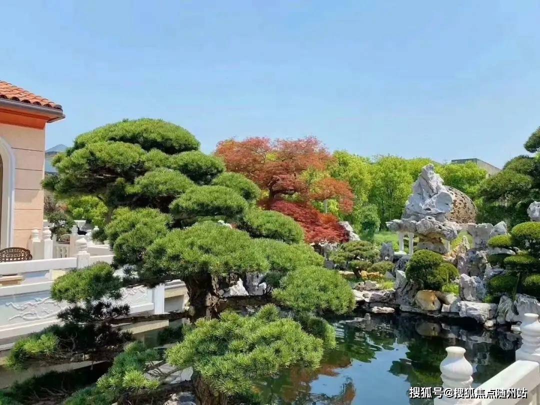 万搏最新链接｜万搏官方最新网址大全