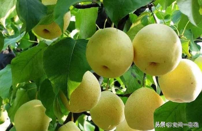 永乐高官网注册-揭秘永乐高官方网站注册流程的新方式